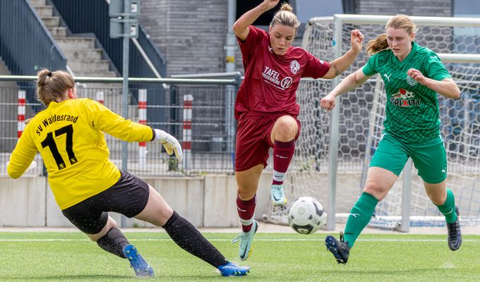 Starker Start! SSVg-Damen siegen zum Test-Auftakt