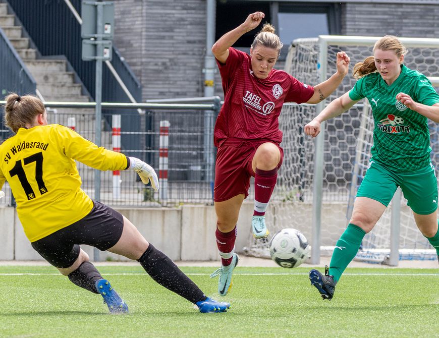Starker Start! SSVg-Damen siegen zum Test-Auftakt