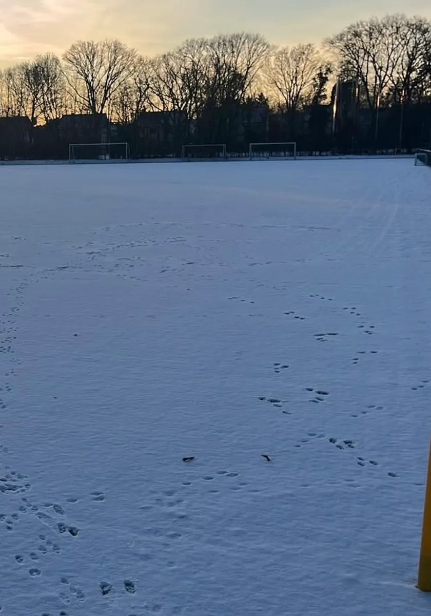 Testspiel gegen den KFC Uerdingen abgesagt