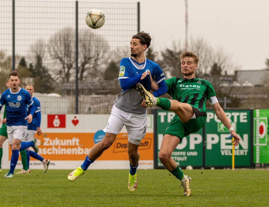 Die Bilder vom Heimspiel gegen die Jungfohlen