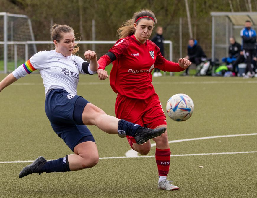 SSVg empfängt die Zebras