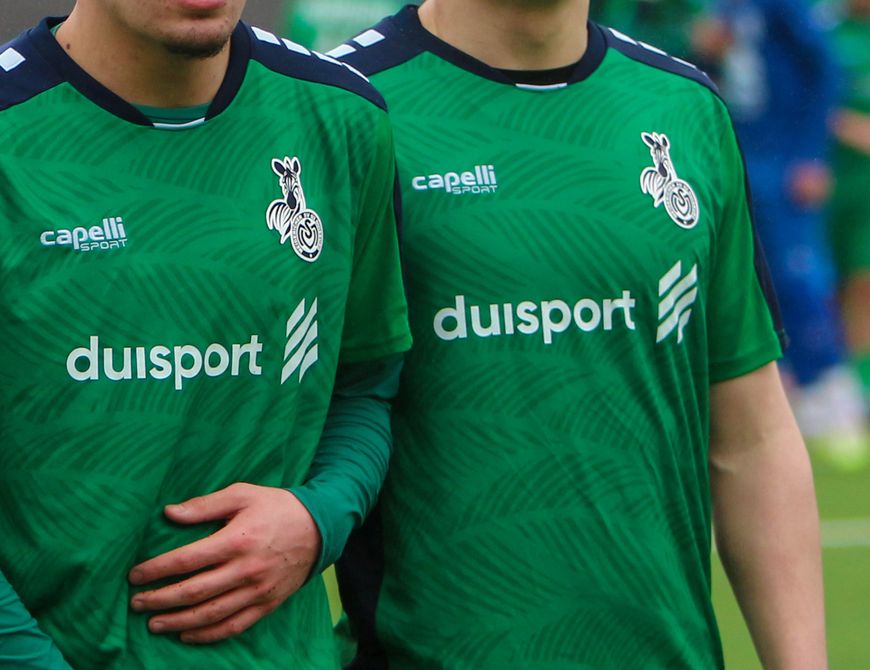 Die Zebras kommen🦓 - Alles Wissenswerte!